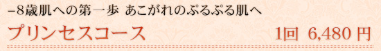 —8歳肌への第一歩 あこがれのぷるぷる肌へ プリンセスコース 1回6,480円