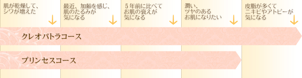 肌が乾燥してシワが増えた。最近、加齢を感じ、肌のたるみが気になる。5年前に比べてお肌の衰えが気になる。潤い、ツヤのあるお肌になりたい。皮脂が多くてニキビやアトピーが気になる。