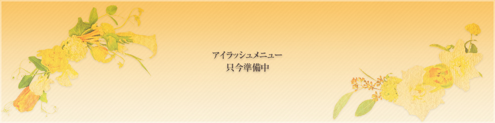 アイラッシュメニュー只今準備中